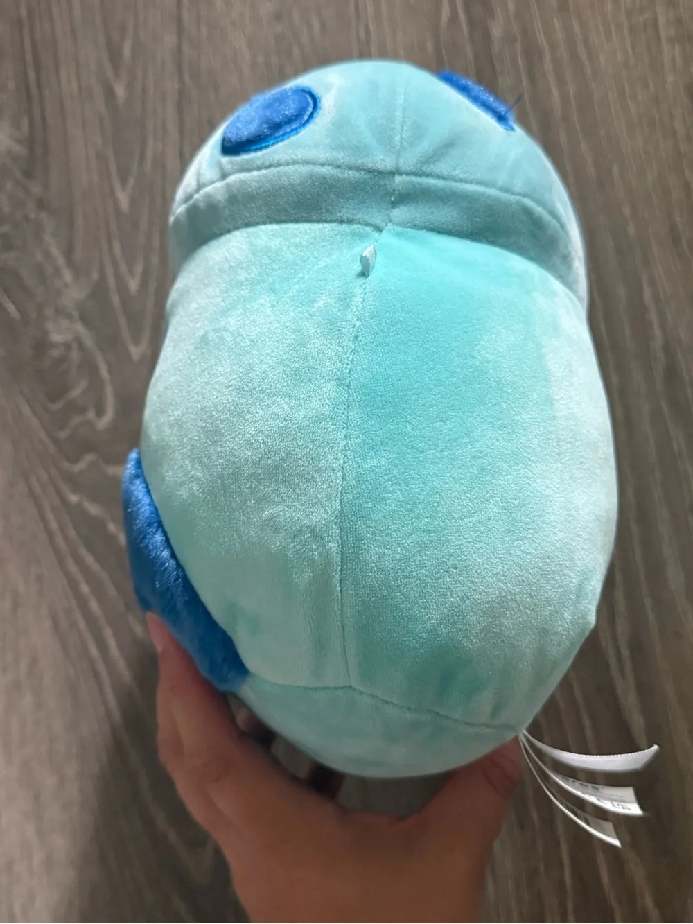 Ankur the Mushroom Squishmallow